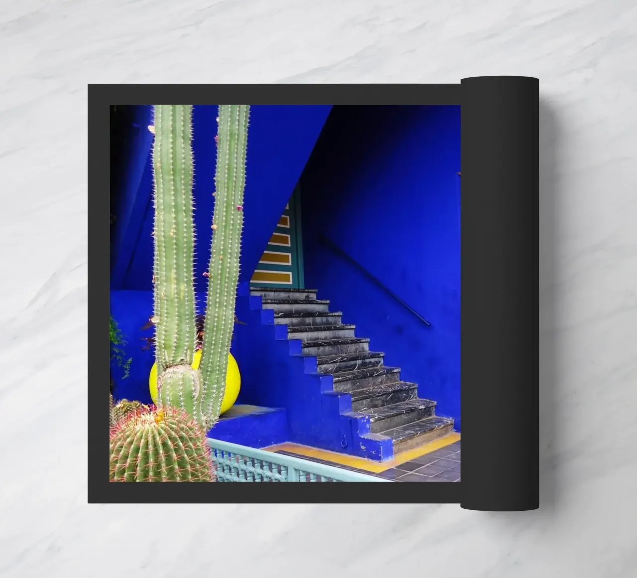 MarrakechBlue3 zerbino da DragonFly