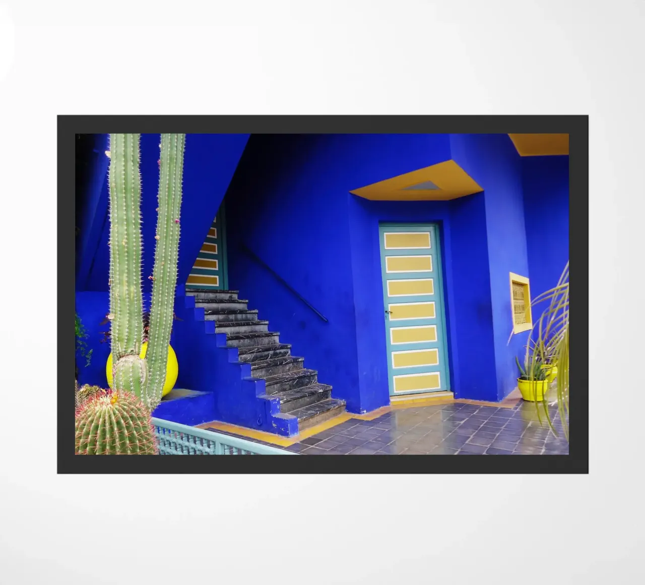 MarrakechBlue3 zerbino da DragonFly