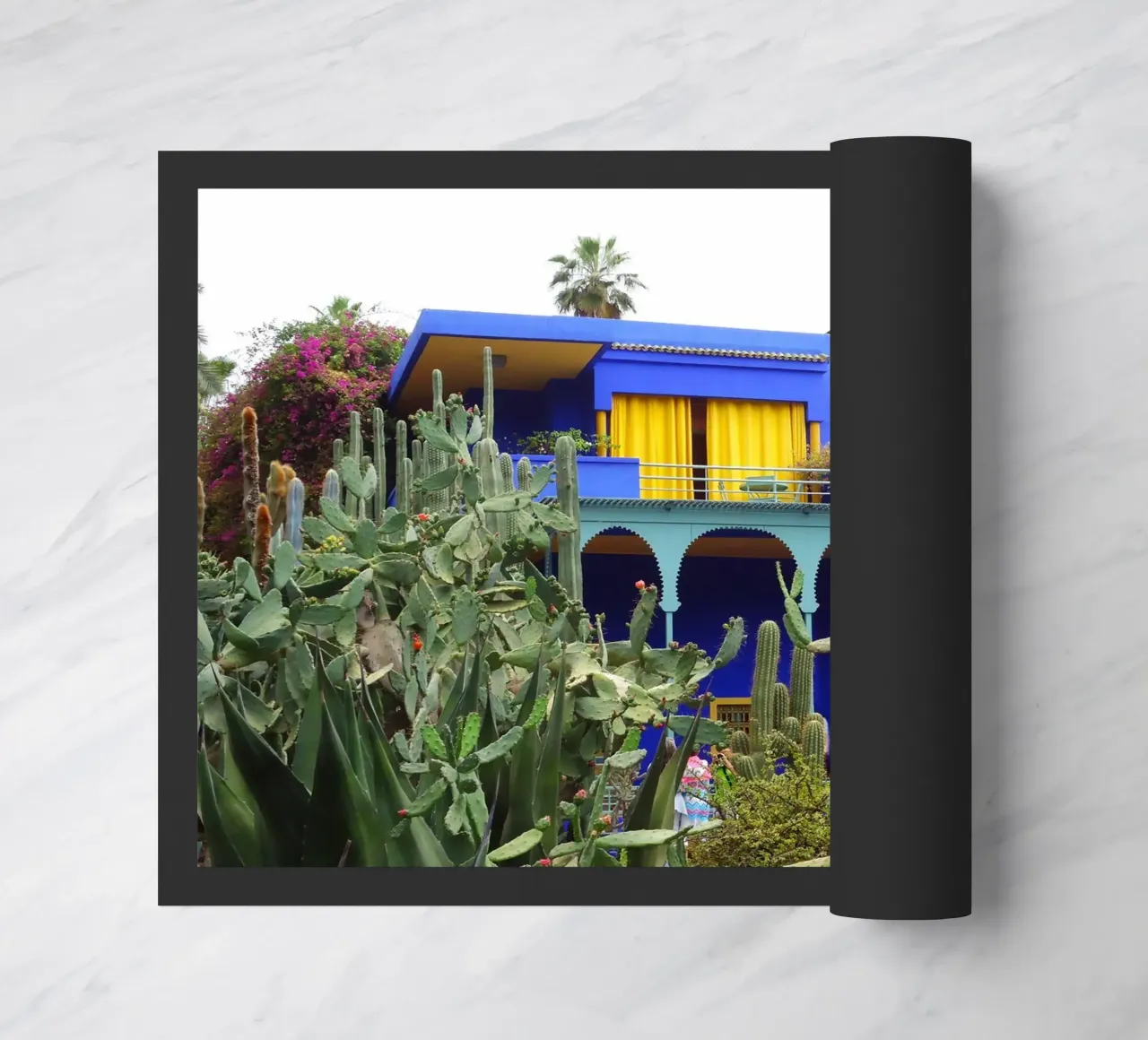 MarrakechBlue2 zerbino da DragonFly