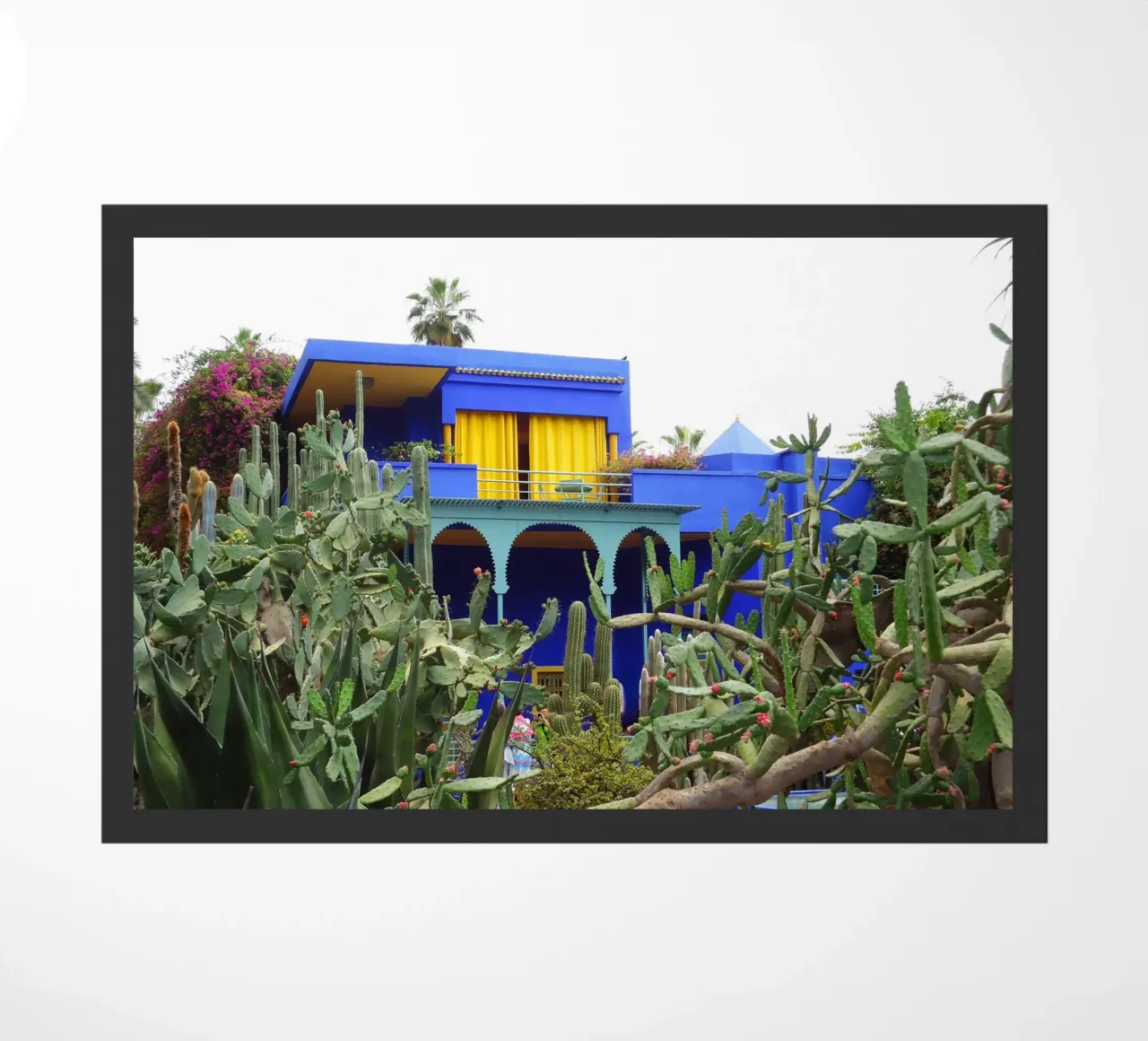 MarrakechBlue2 zerbino da DragonFly