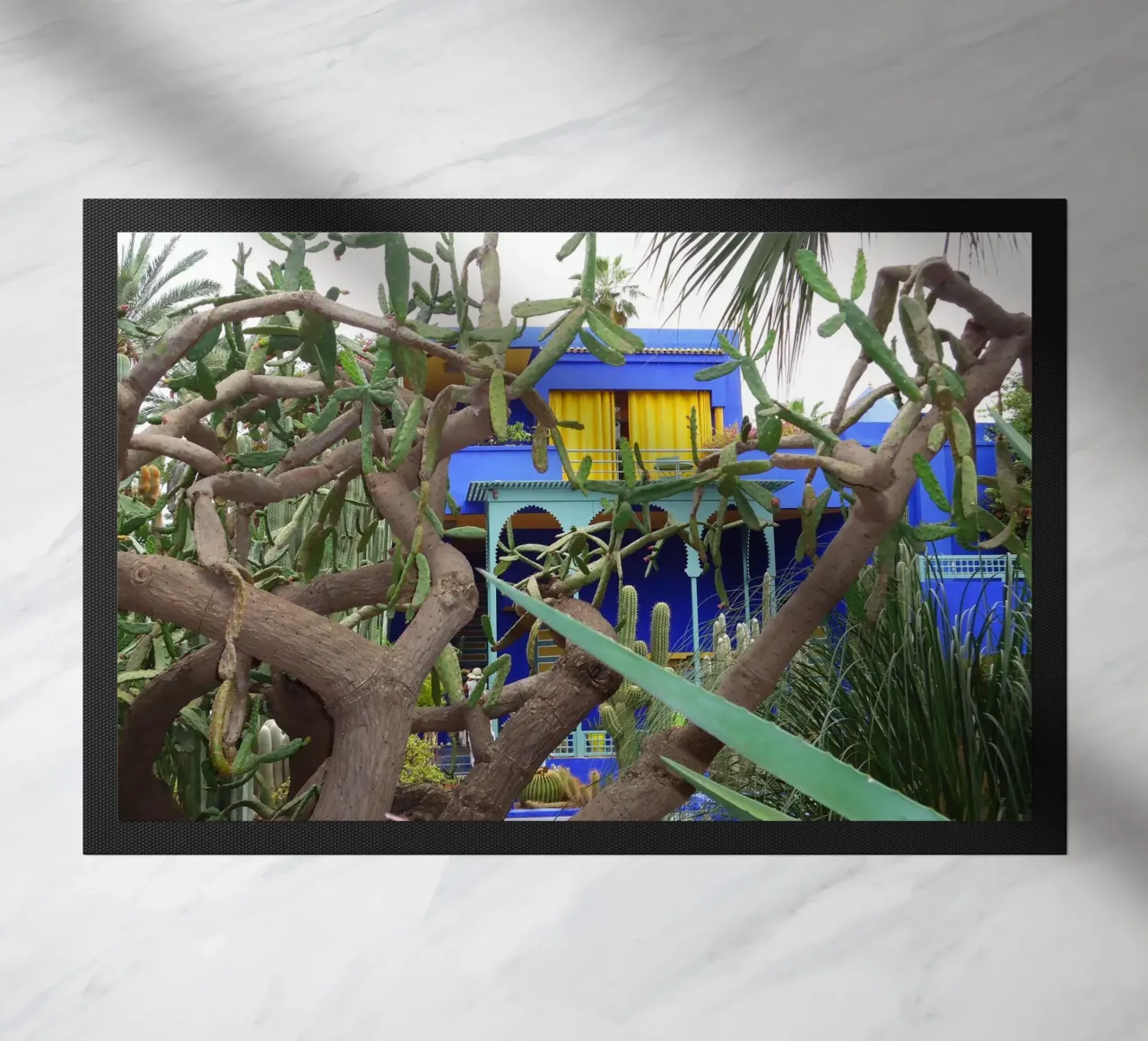 MarrakechBlue zerbino da DragonFly