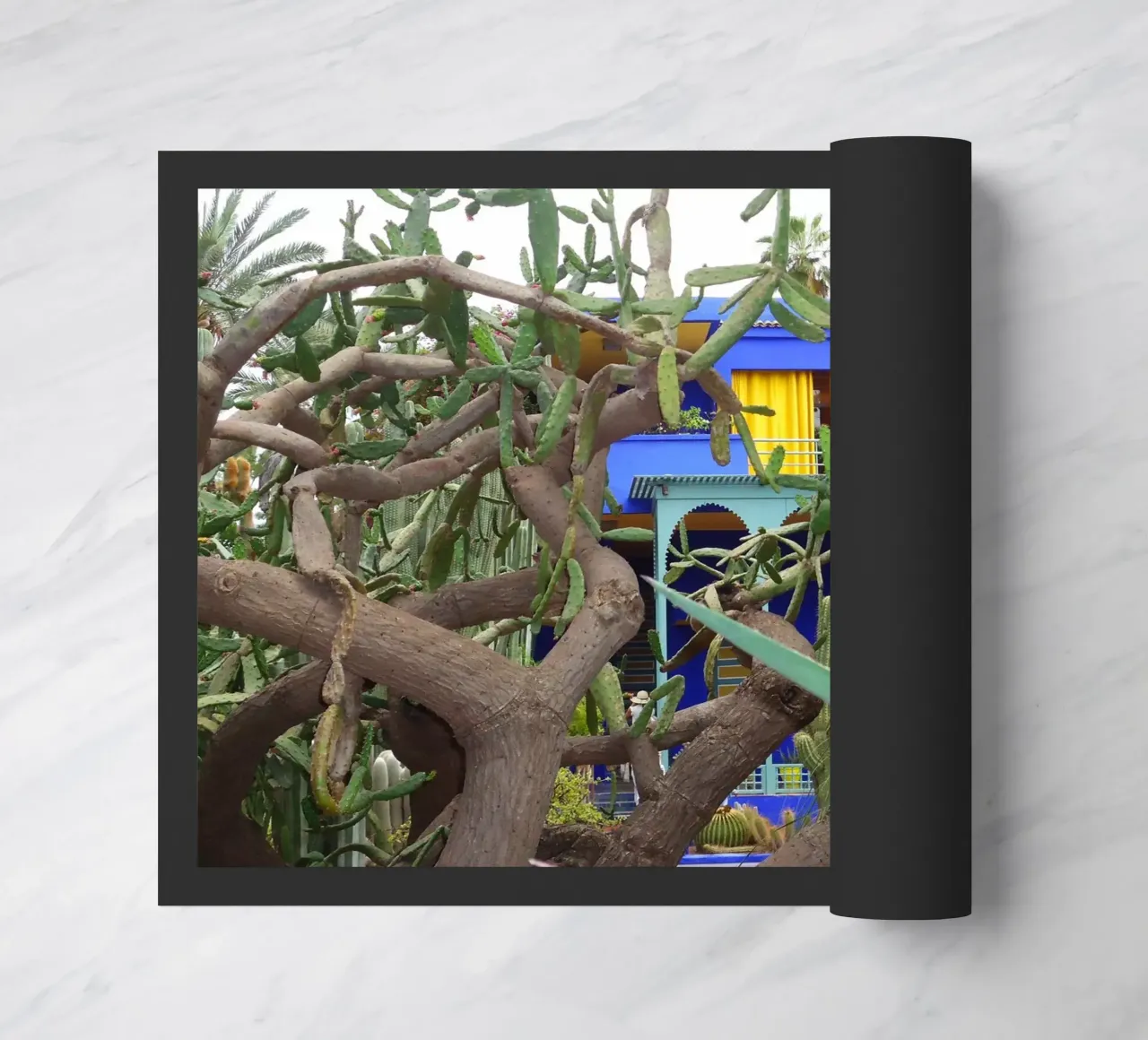 MarrakechBlue zerbino da DragonFly