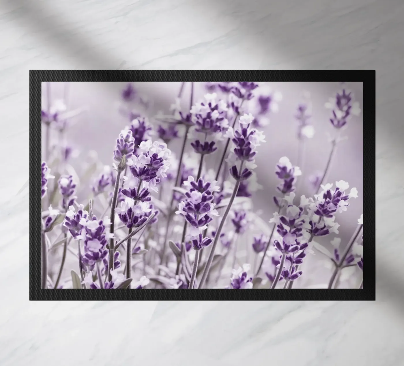 Lavender zerbino da Atteloi