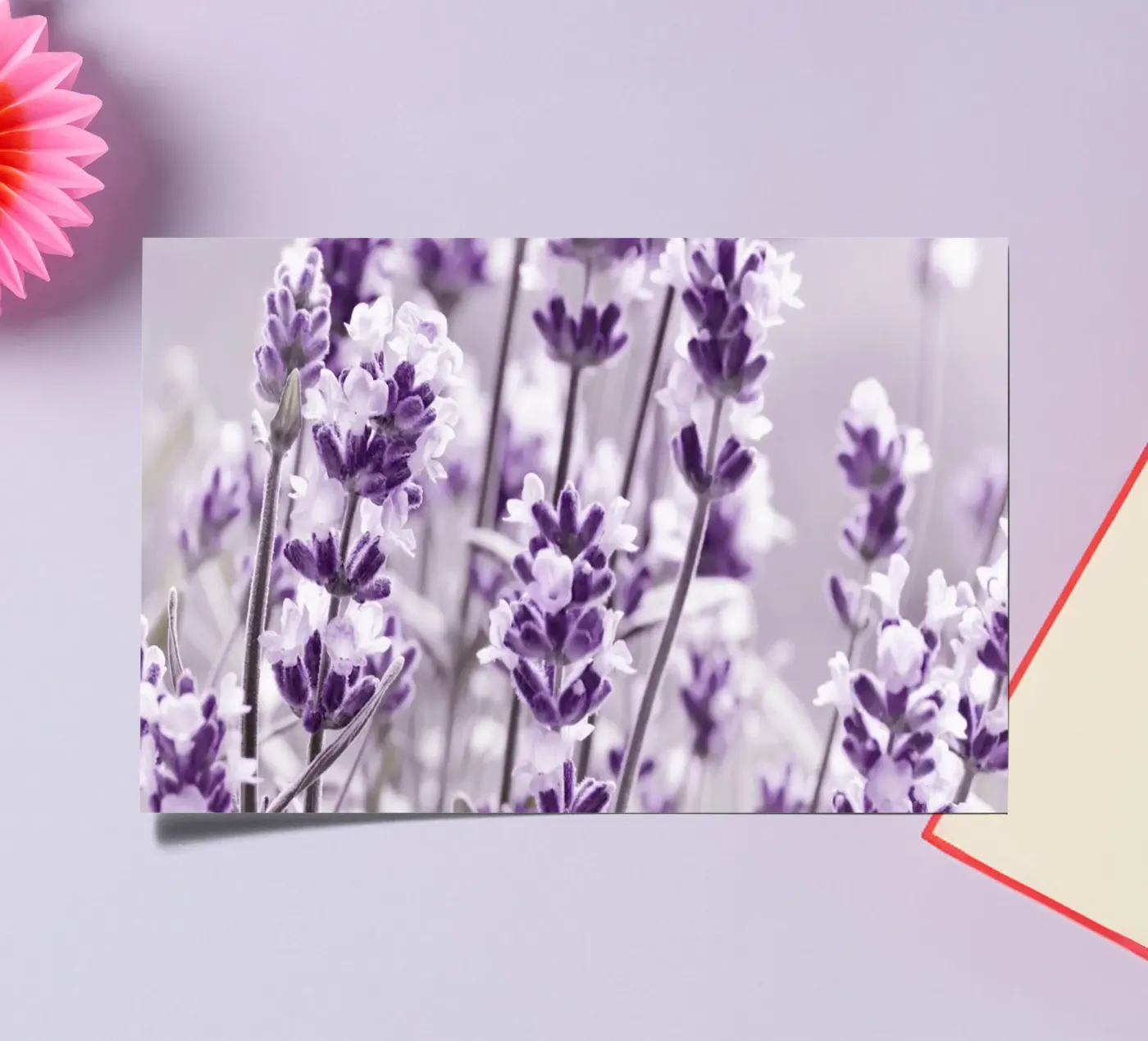 Lavender sticker sheet by Atteloi