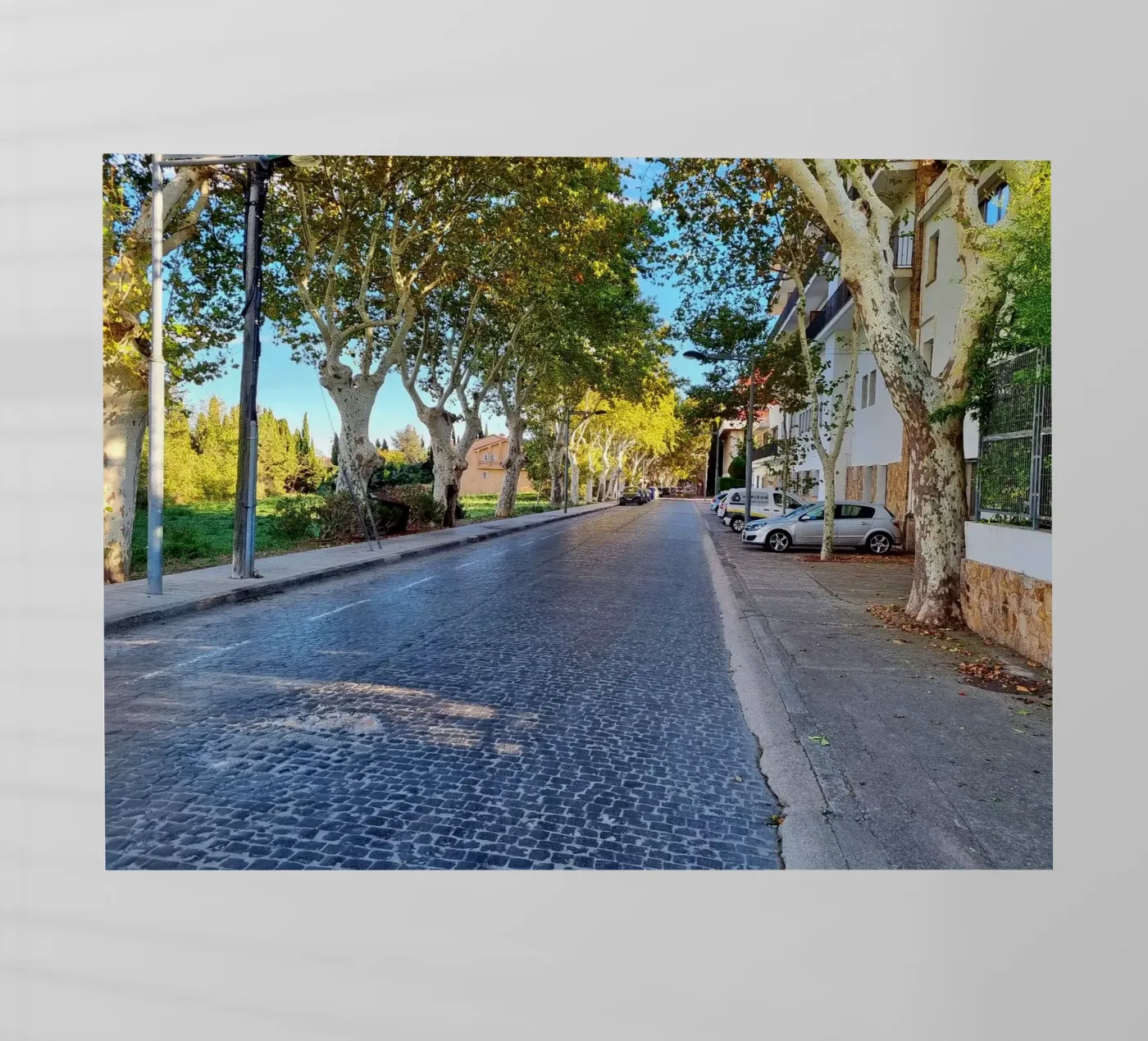 Figueres pellicola backlit da dava