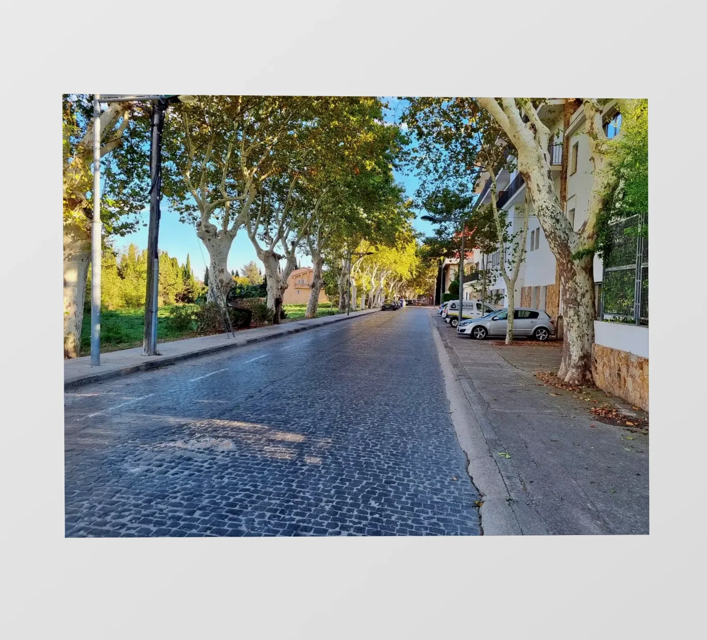 Figueres pellicola backlit da dava