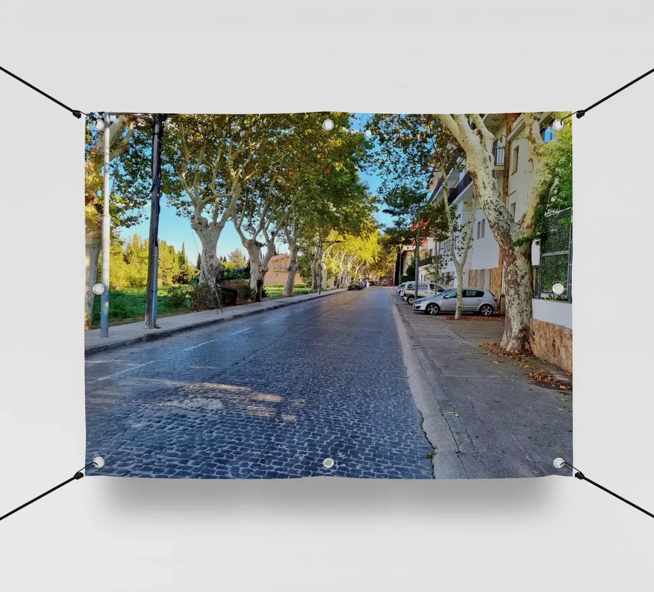 Figueres telo in pvc da dava
