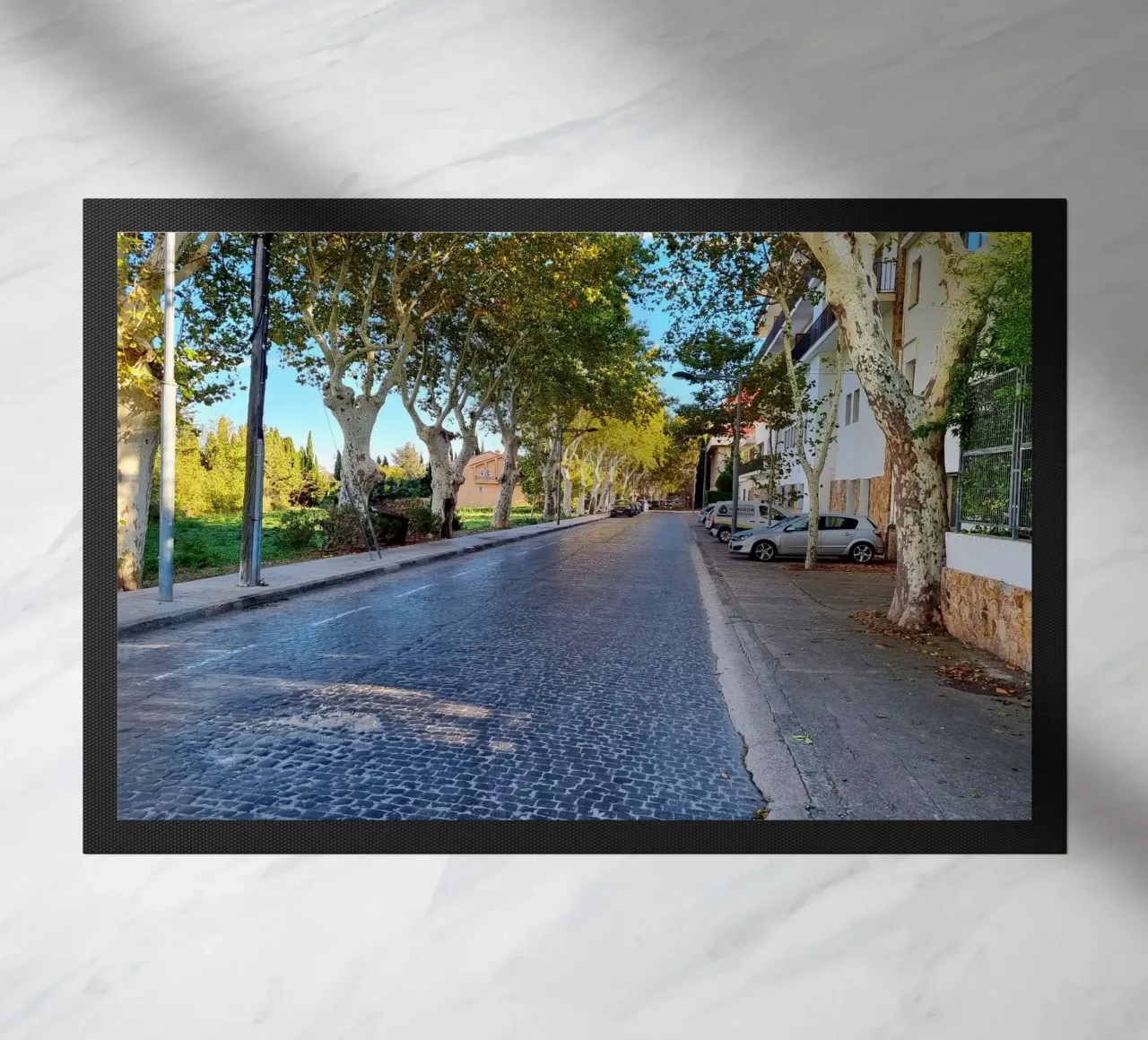 Figueres zerbino da dava