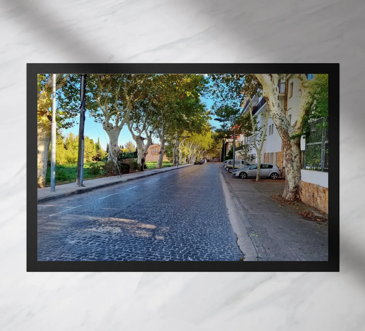 Figueres zerbino da dava