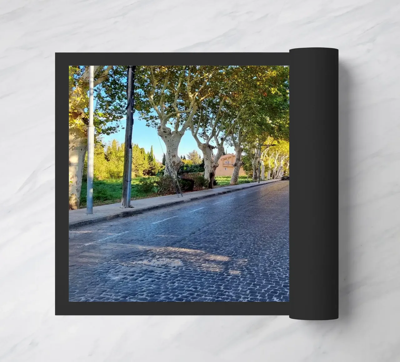 Figueres zerbino da dava