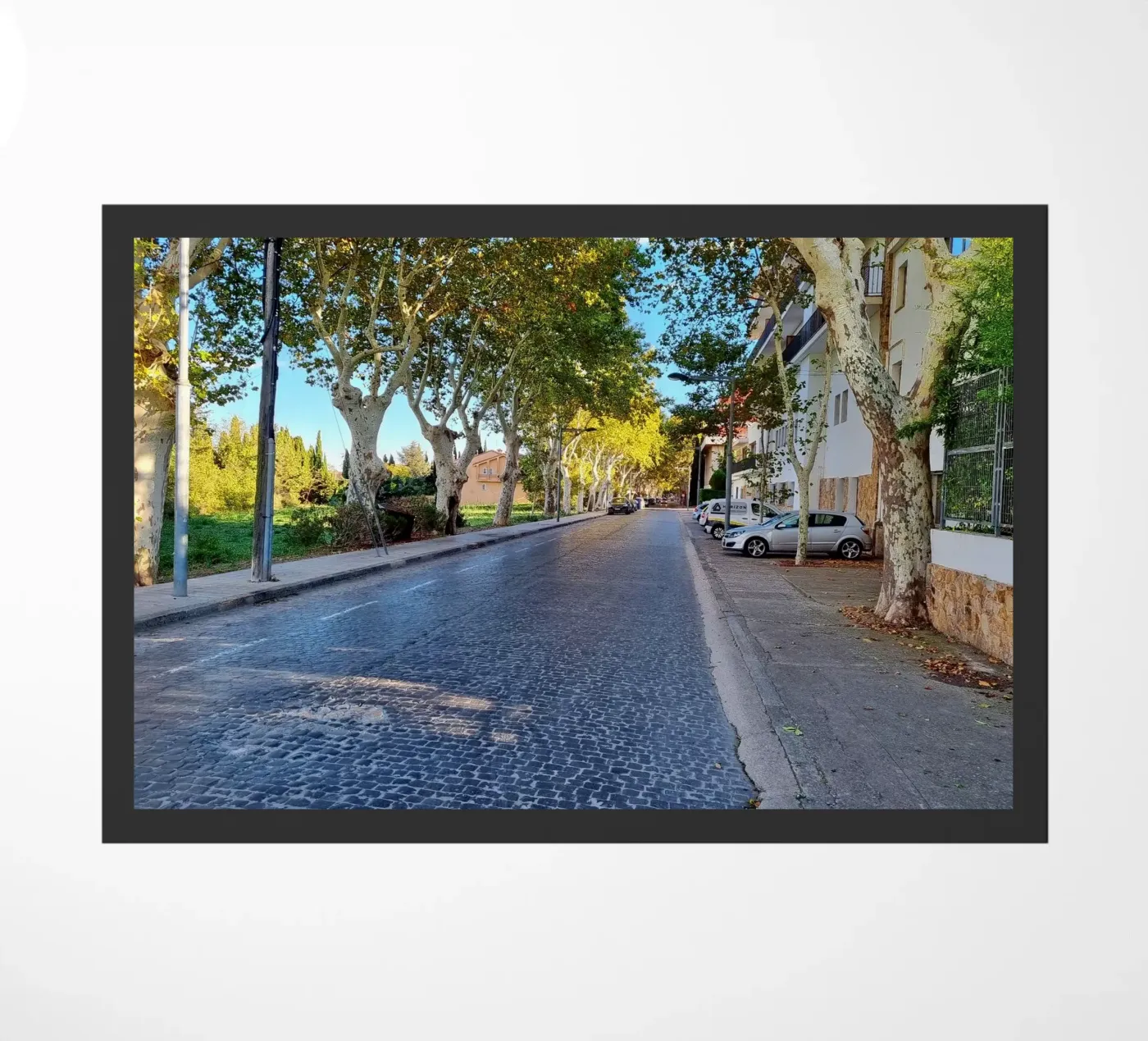 Figueres zerbino da dava