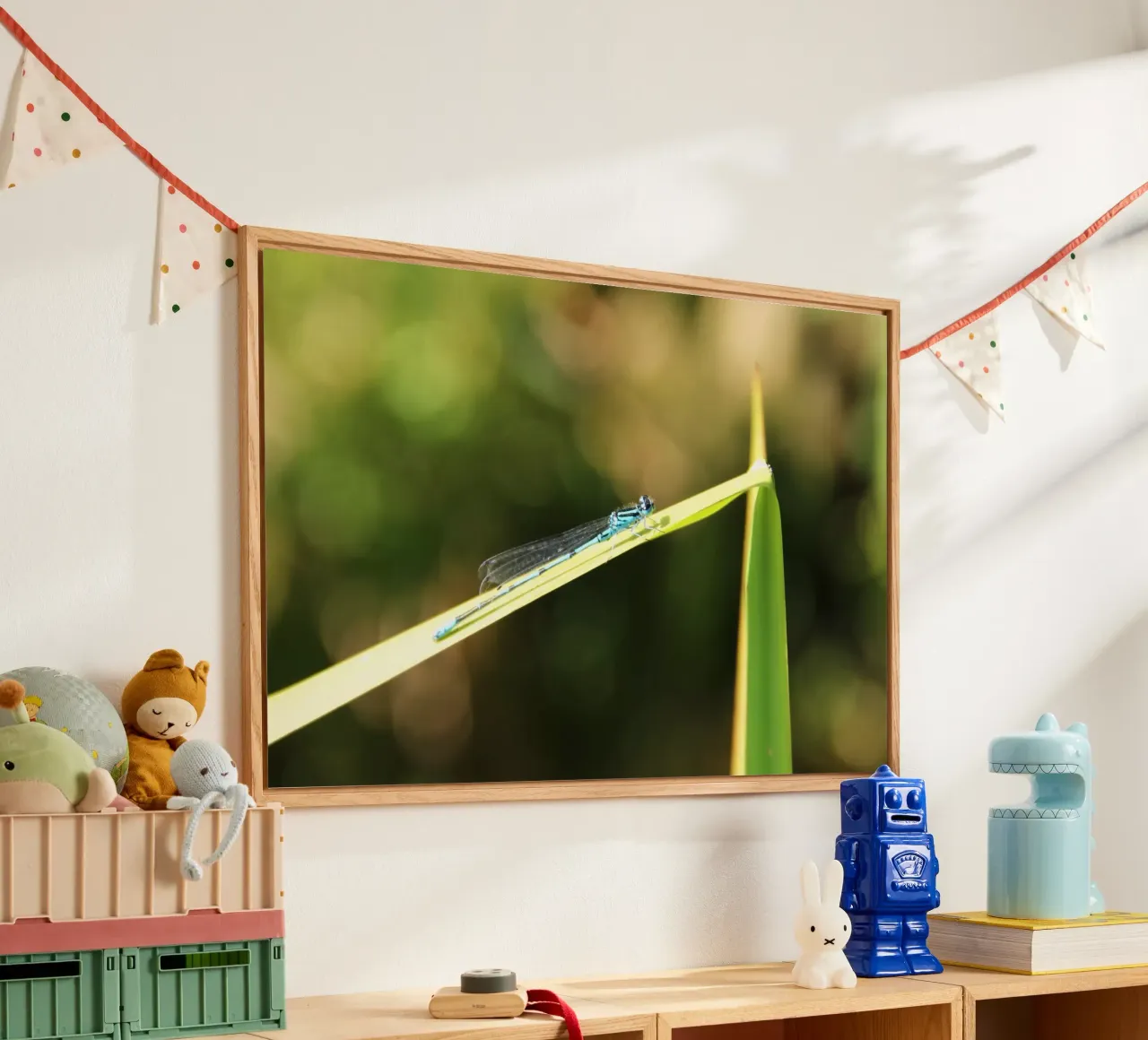 dragonfly plexiglass da DragonFly