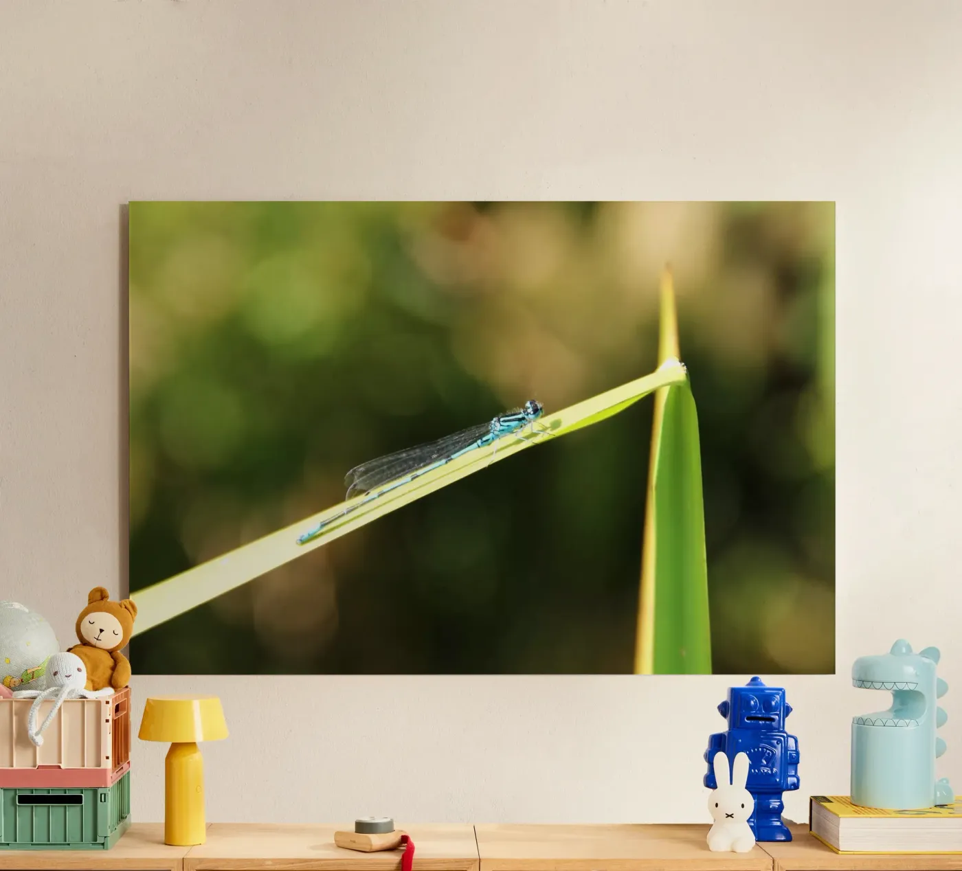 dragonfly plexiglas de DragonFly