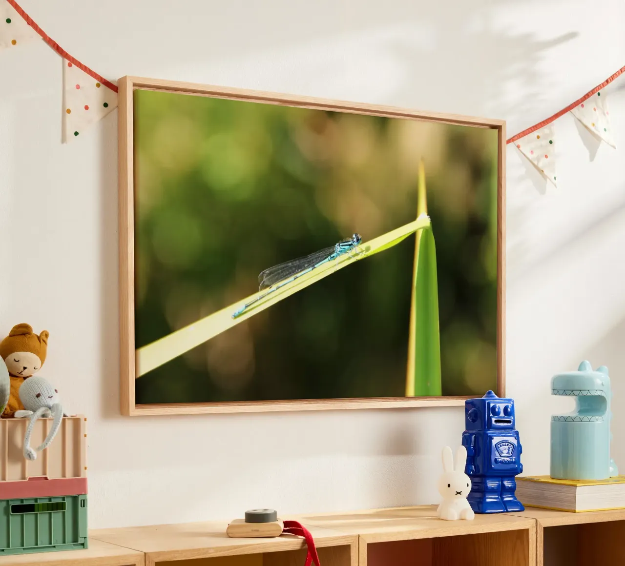 dragonfly tela da DragonFly