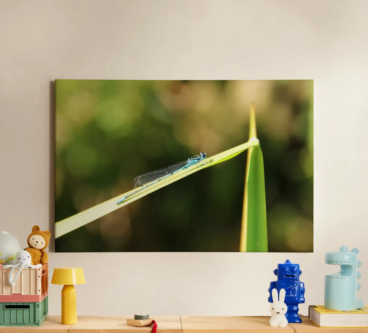 dragonfly toile de DragonFly