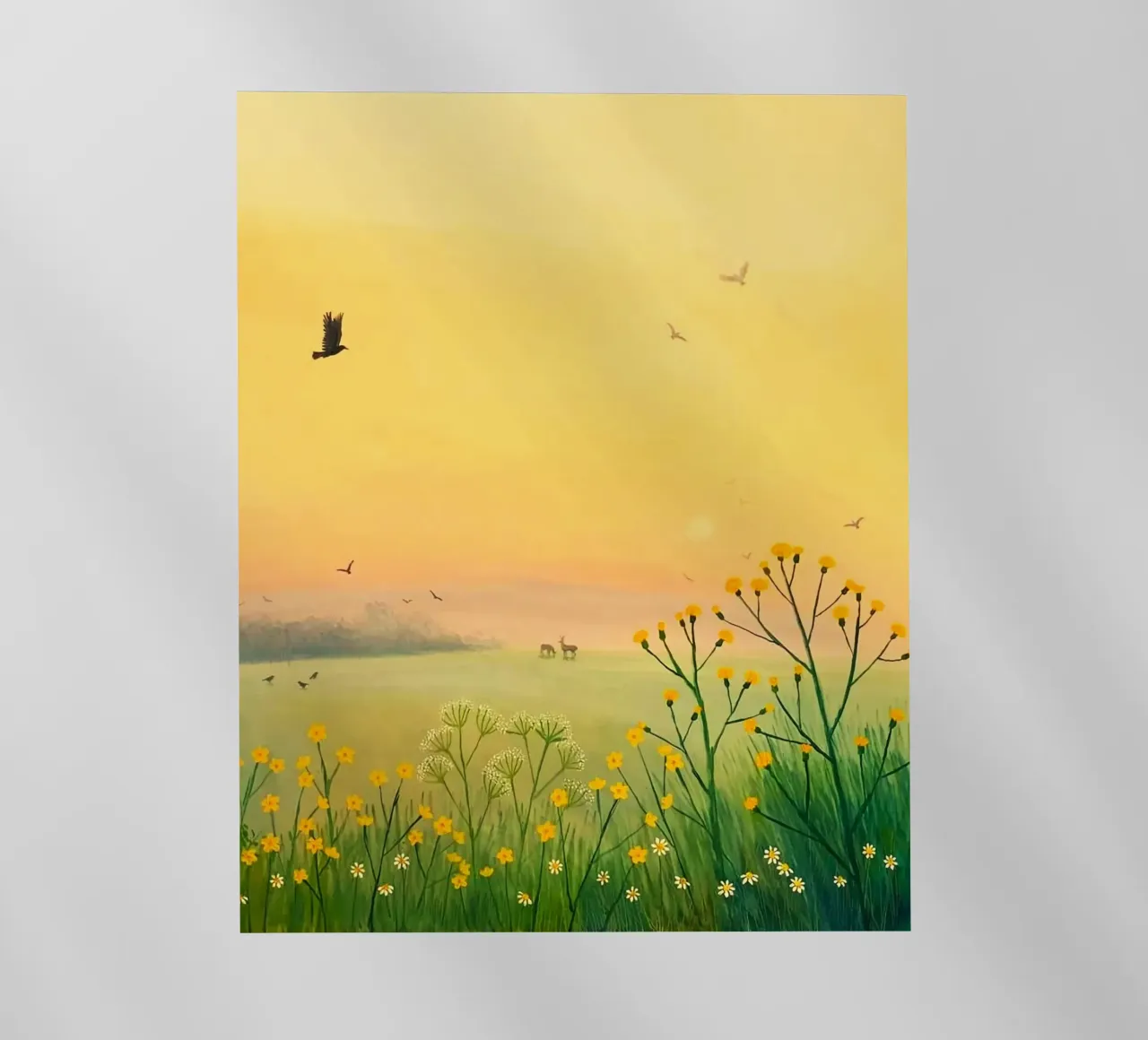 the sunset in fields pellicola backlit da mip of map