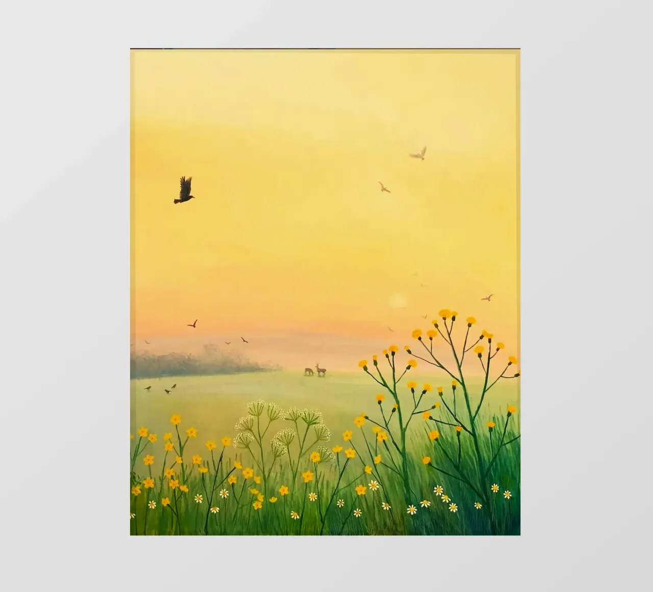 the sunset in fields pellicola backlit da mip of map