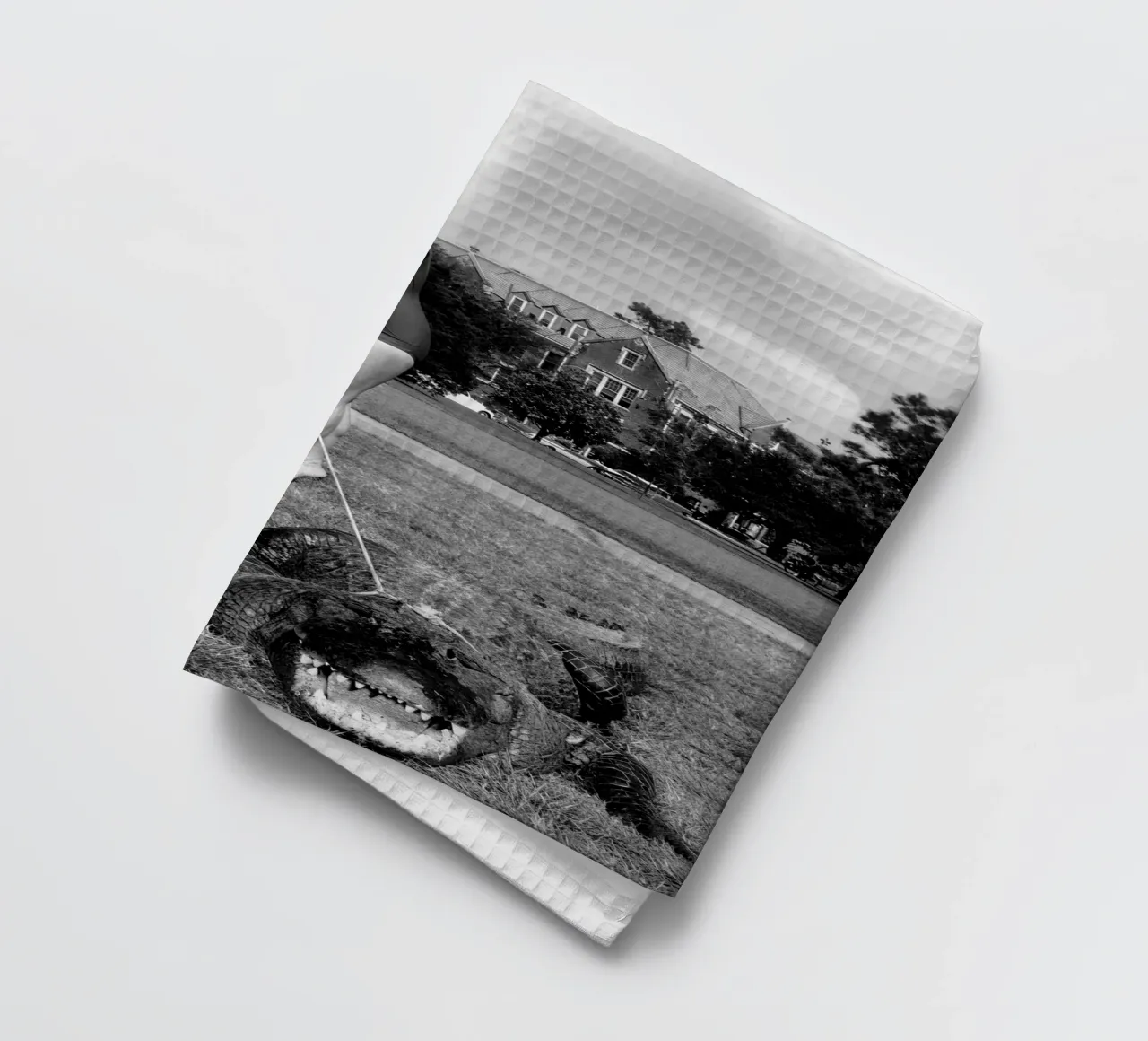 Femmes avec alligator, photo ancienne en noir et blanc torchon de Vibrant Vintage Prints
