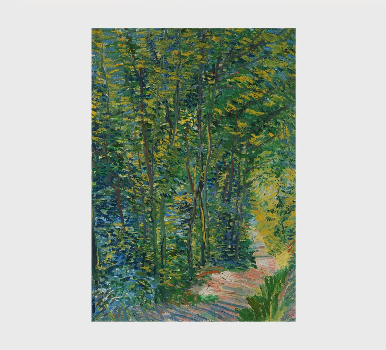 A path in the woods, 1887 notebook by Christopher Soto