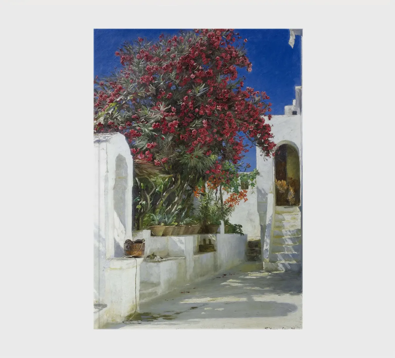 Oleanders in bloom notebook by Christopher Soto