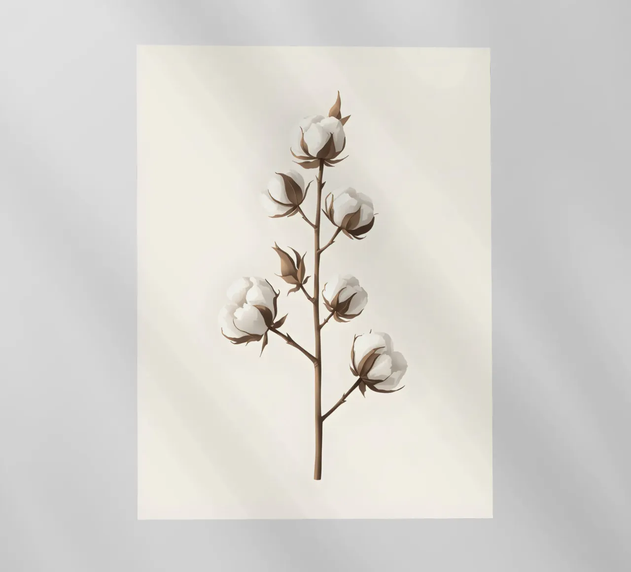Stelo di cotone pellicola backlit da Botanical Gallery