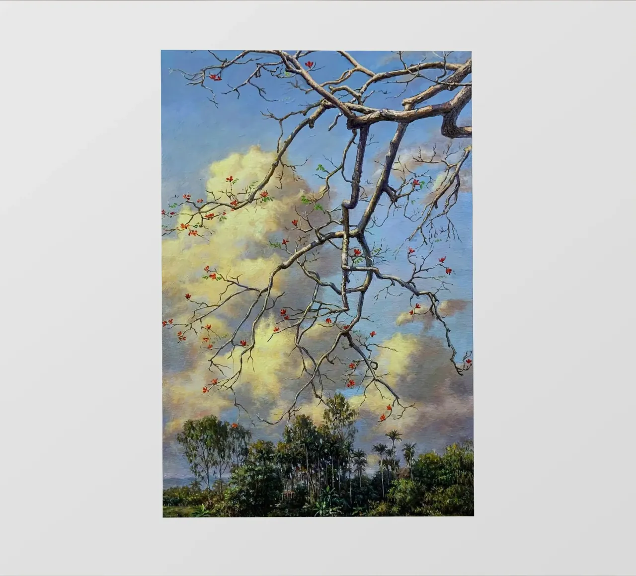 tree on the clous pellicola backlit da mip of map