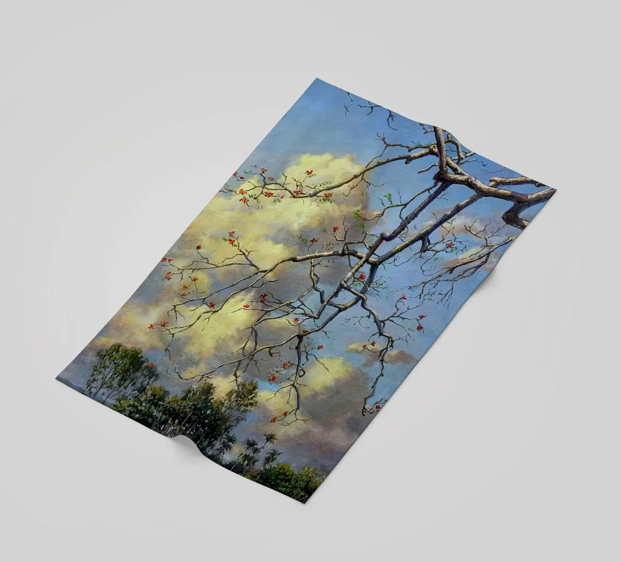 tree on the clous telo mare da mip of map