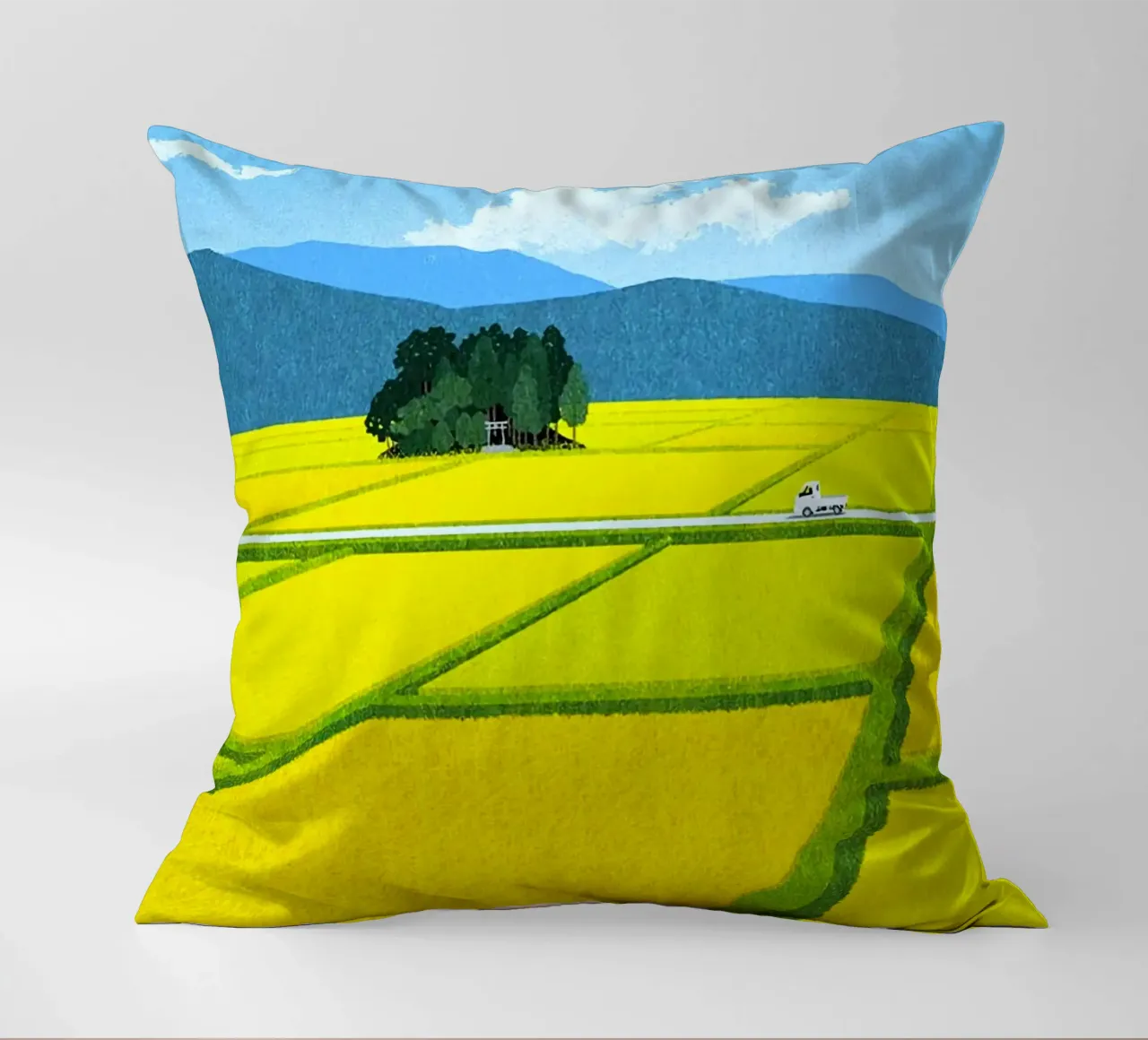 through the fields cuscino da mip of map