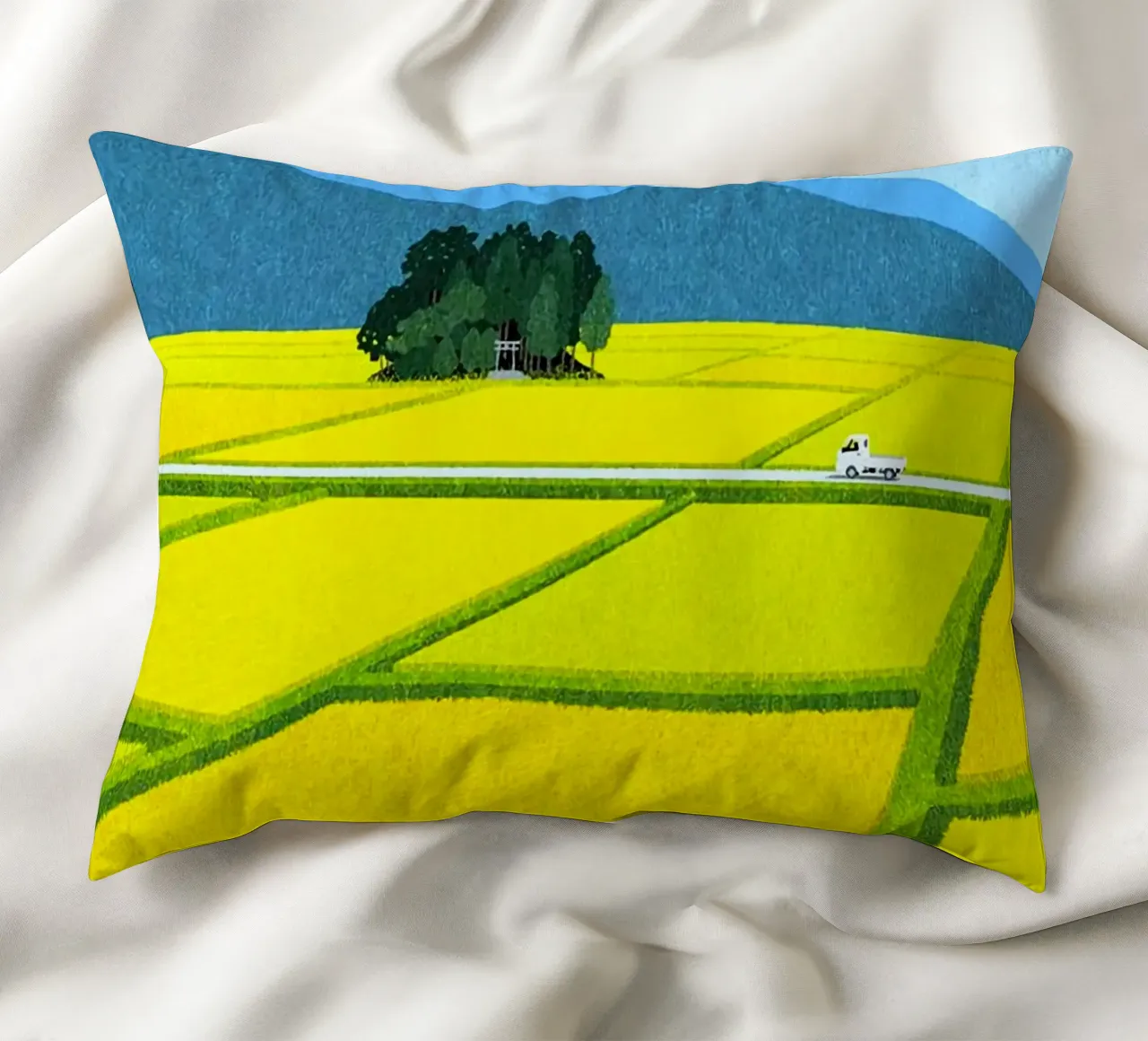 through the fields cuscino da mip of map