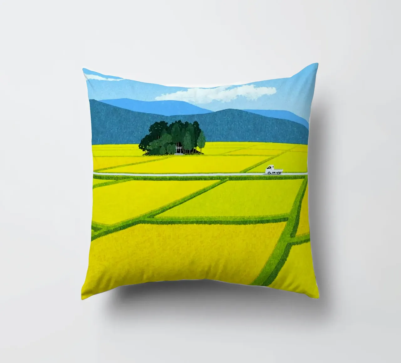 through the fields cuscino da mip of map