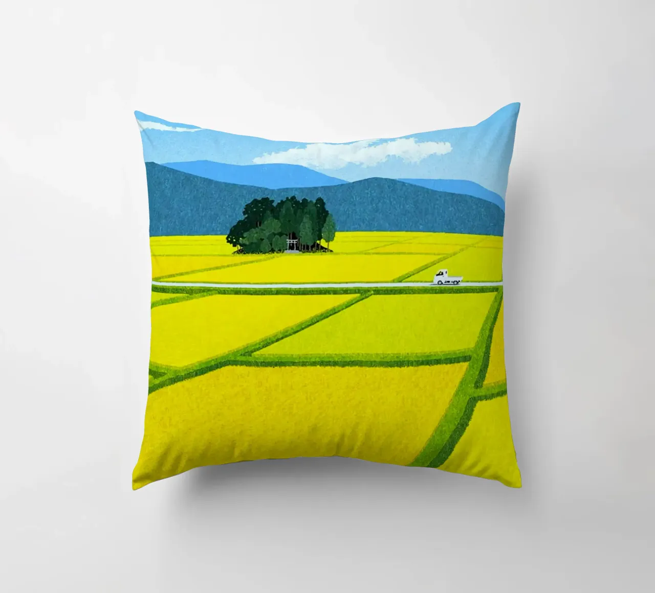 through the fields cuscino da mip of map