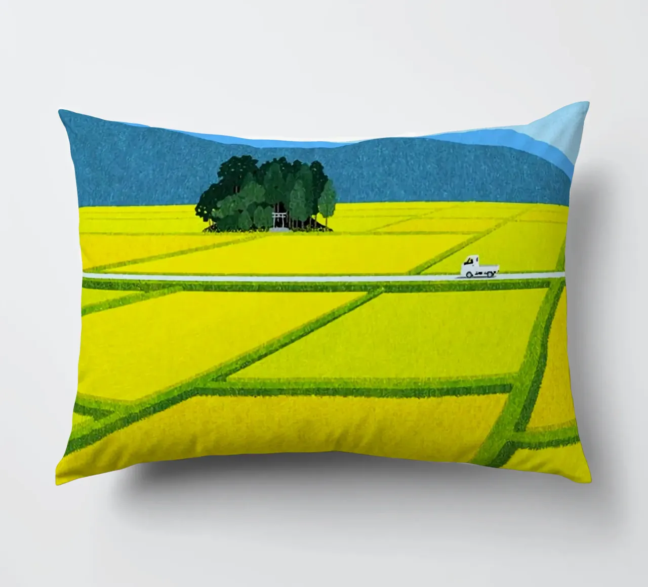 through the fields cuscino da mip of map