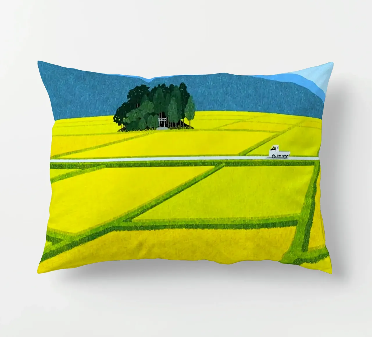 through the fields cuscino da mip of map