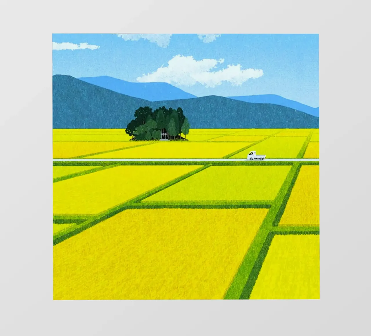 through the fields telo in pvc da mip of map