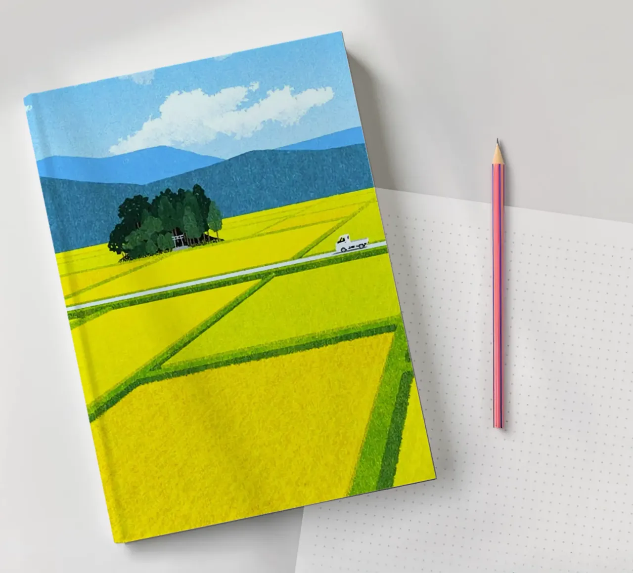 through the fields notebook by mip of map
