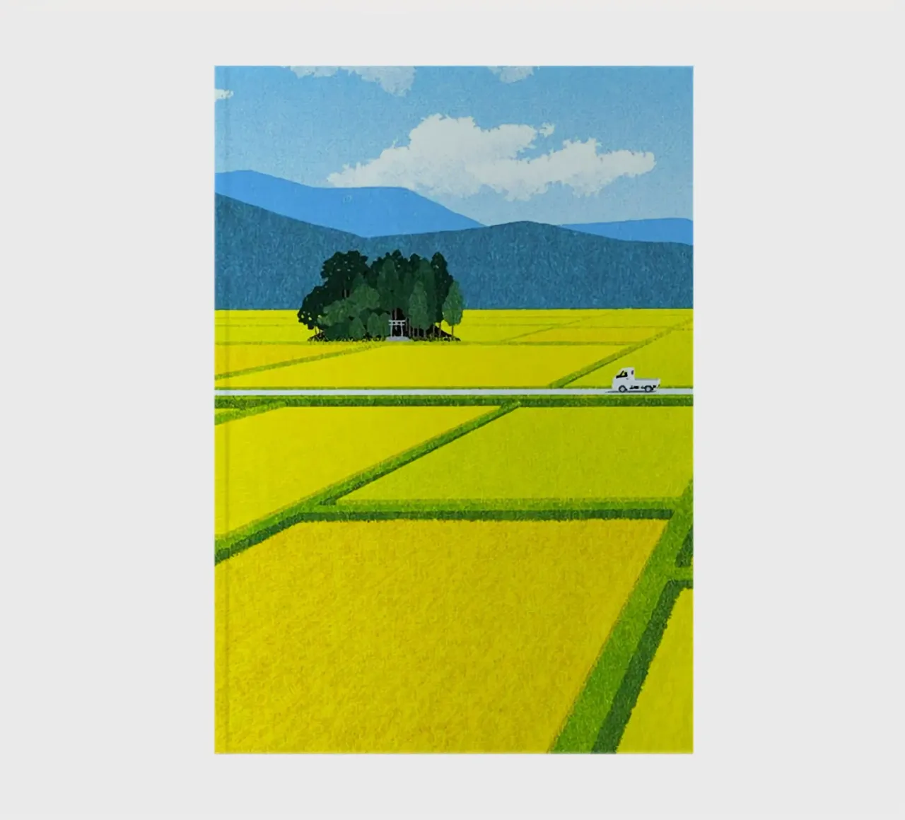 through the fields notebook by mip of map