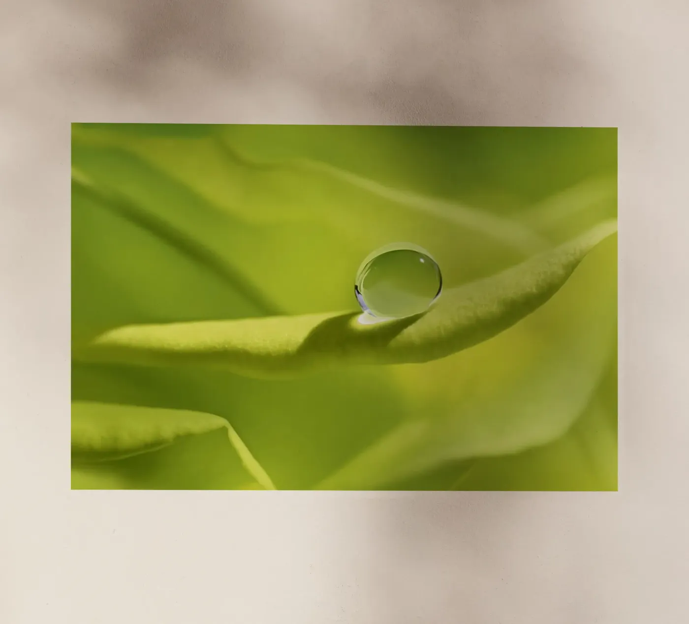 Gocce pellicola backlit da Atteloi Fotografie