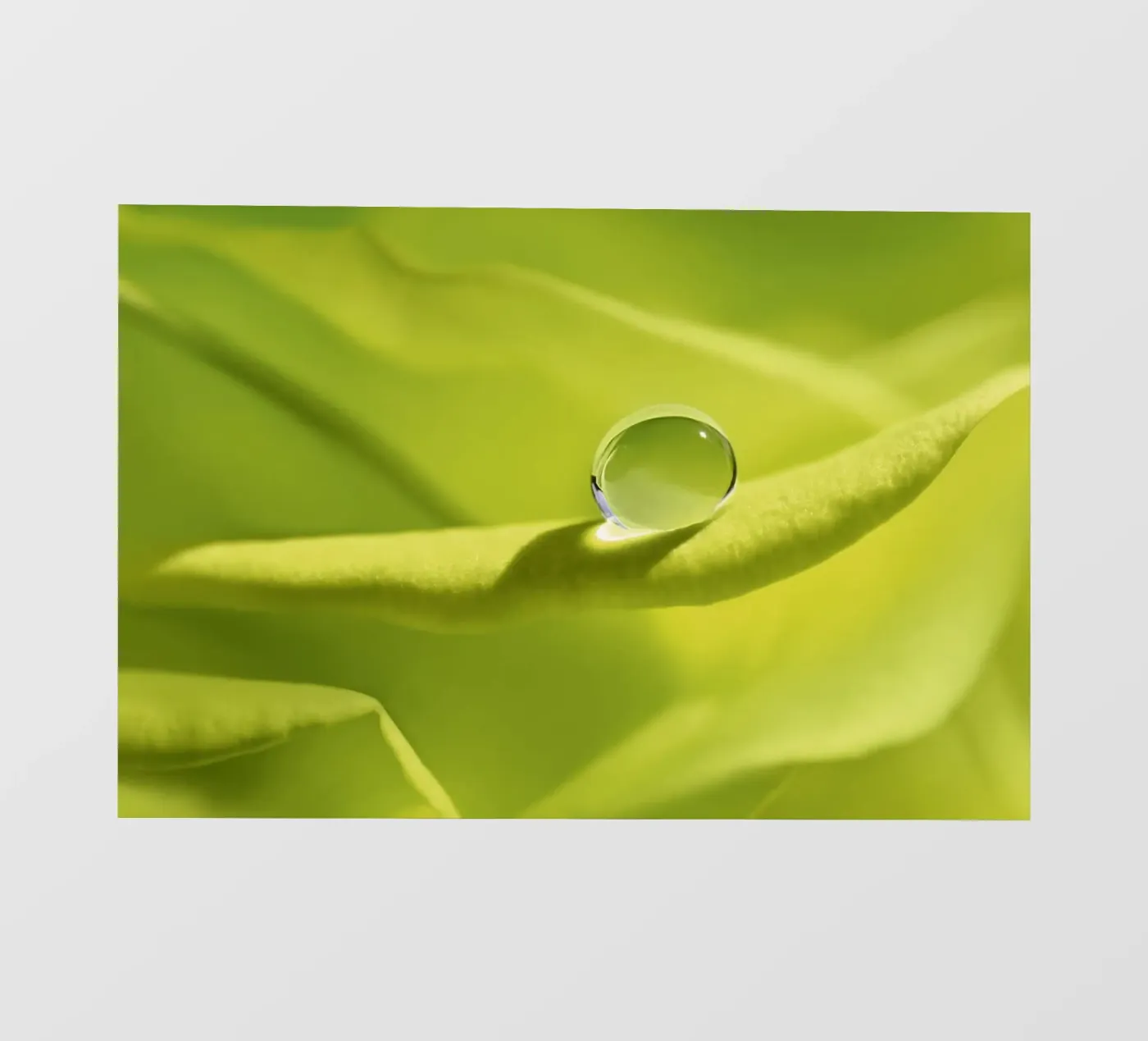 Gocce pellicola backlit da Atteloi Fotografie