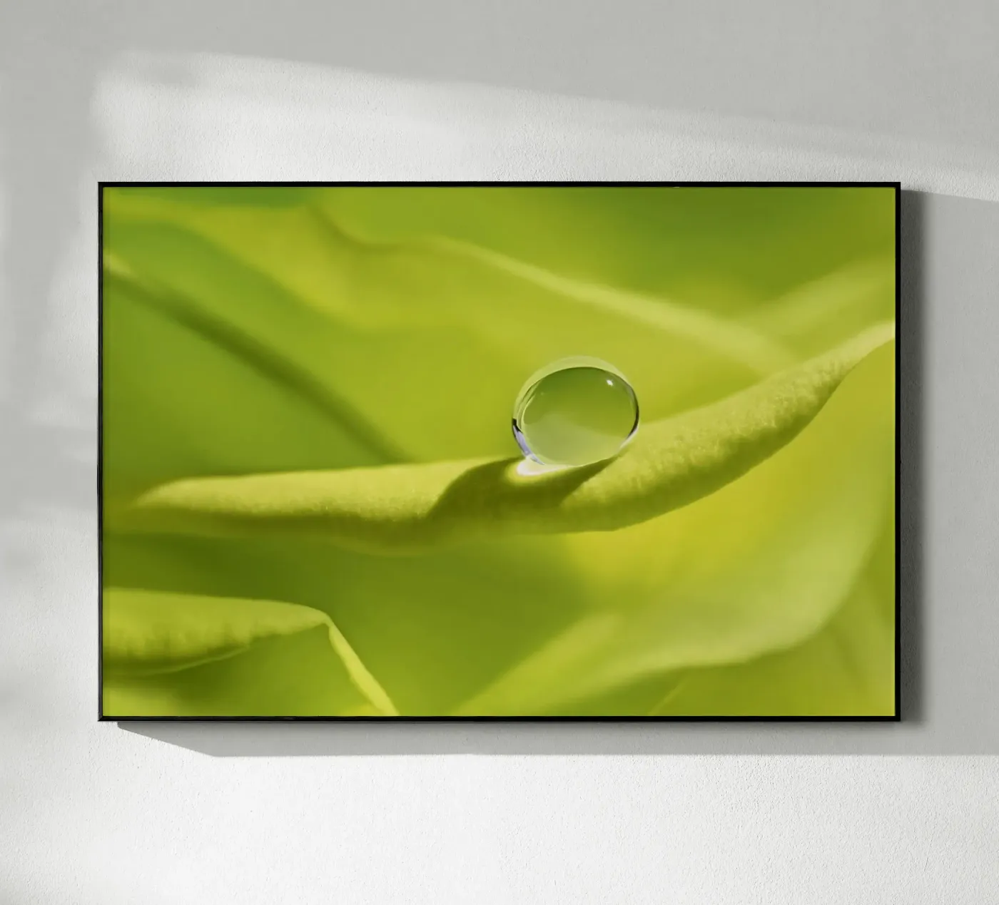 Drops plexiglass da Atteloi Fotografie