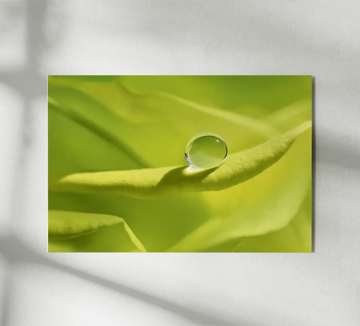 Drops plexiglass da Atteloi Fotografie