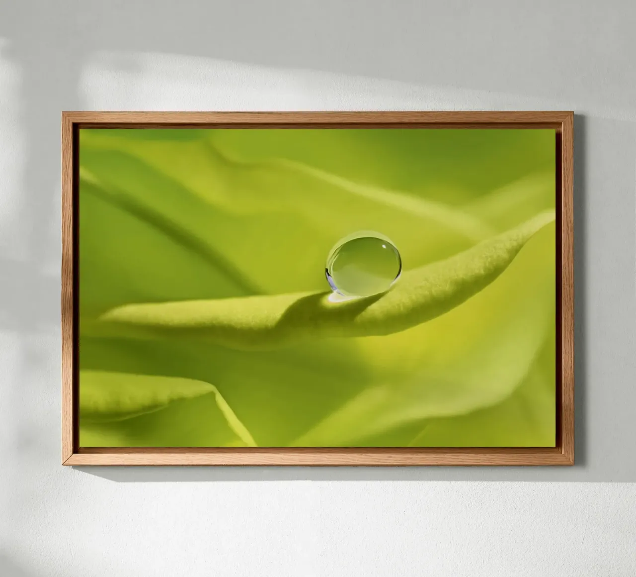 Drops forex plate by Atteloi