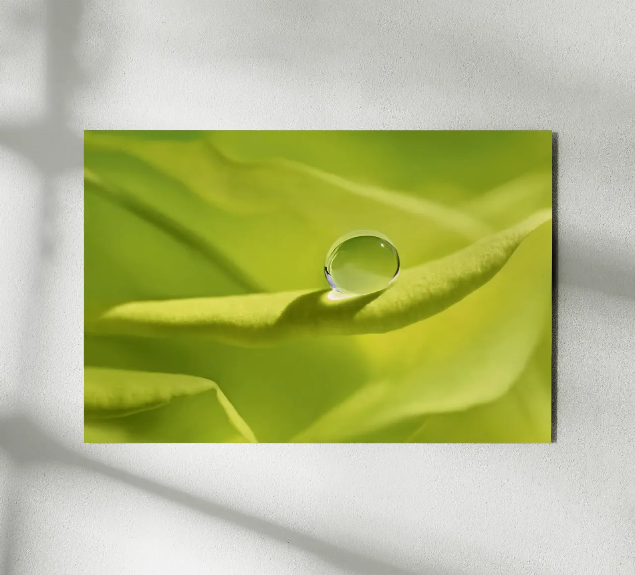 Drops forex plate by Atteloi