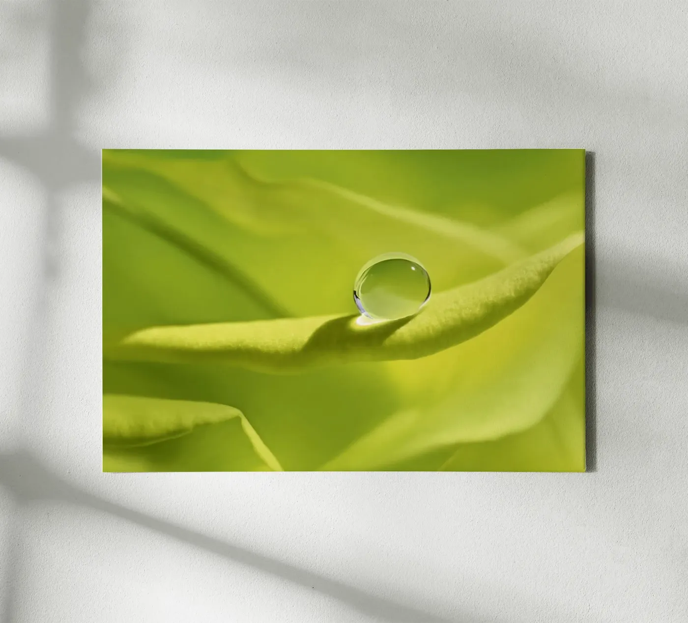 Drops tela da Atteloi Fotografie