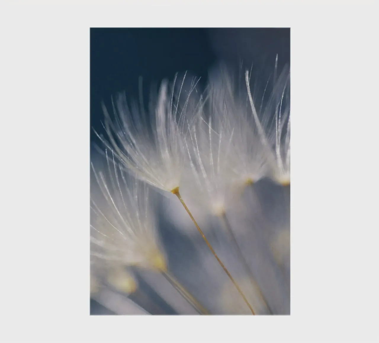 soft lights diario da Visuelle Poesie am Wegesrand