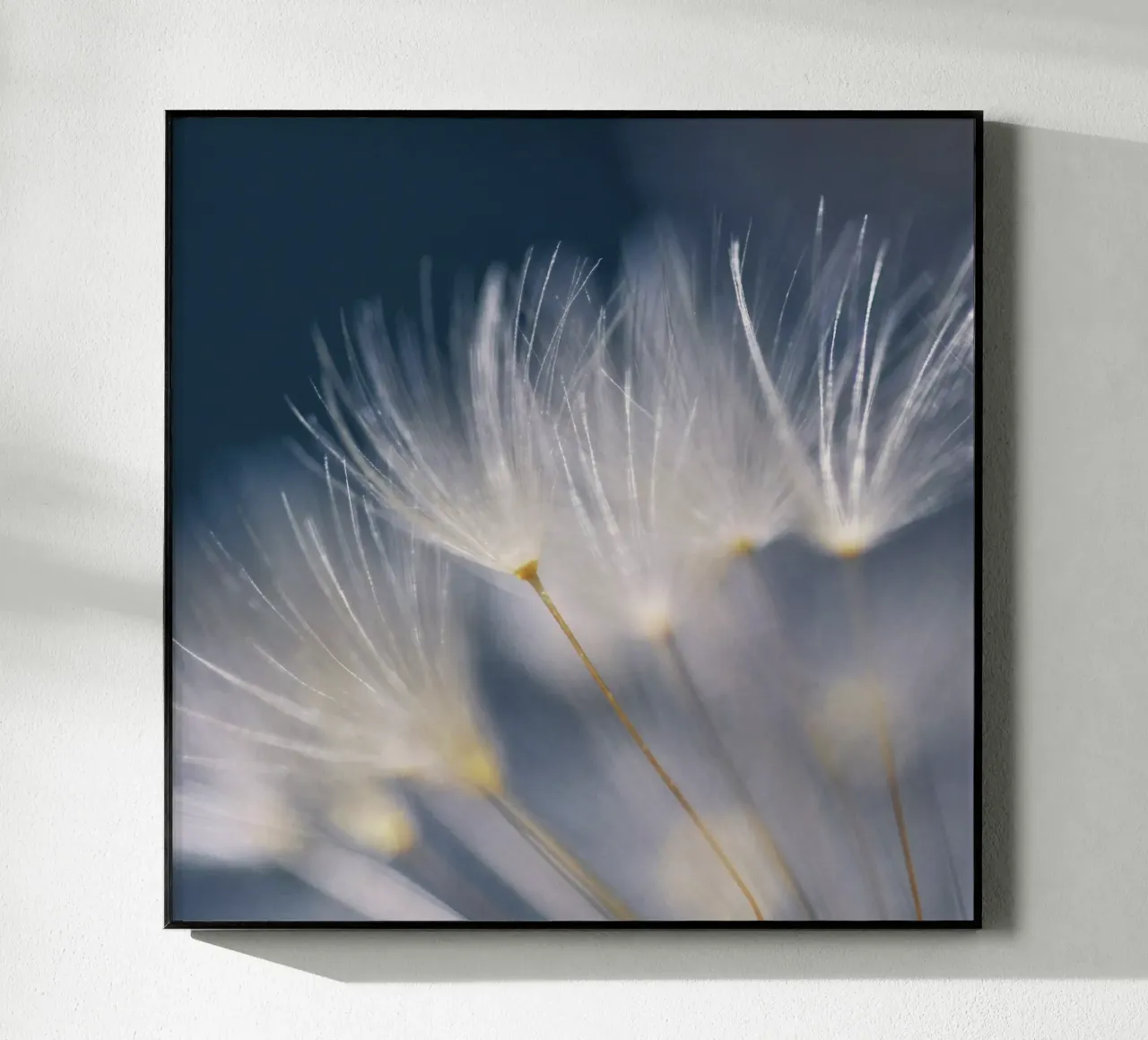 soft lights plexiglass da Visuelle Poesie am Wegesrand