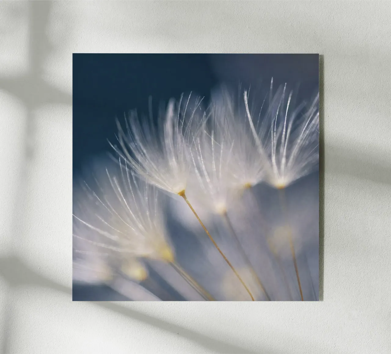 soft lights plexiglass da Visuelle Poesie am Wegesrand