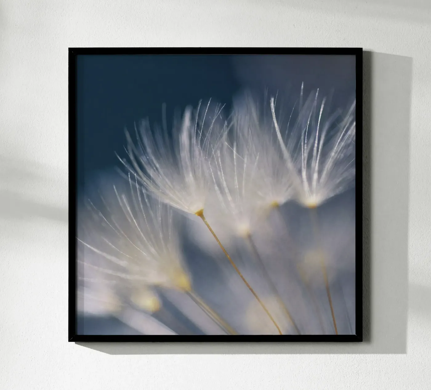 soft lights poster van Visuelle Poesie am Wegesrand