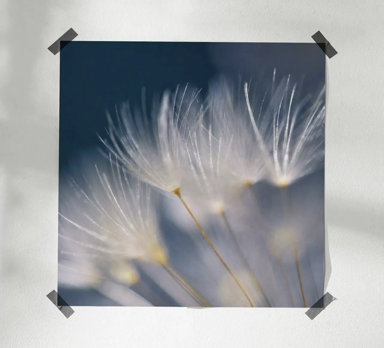 soft lights poster da Visuelle Poesie am Wegesrand