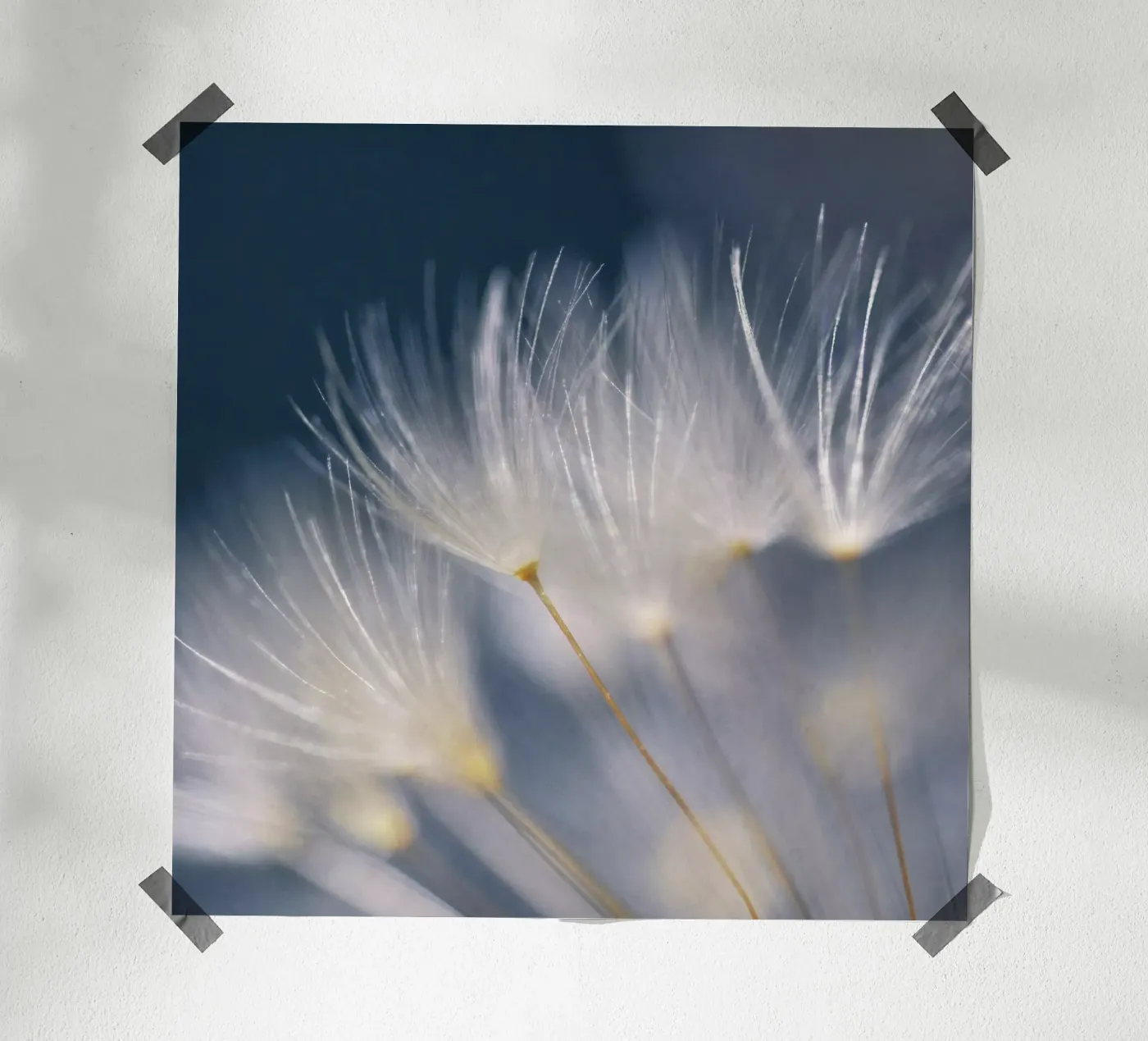 soft lights poster van Visuelle Poesie am Wegesrand