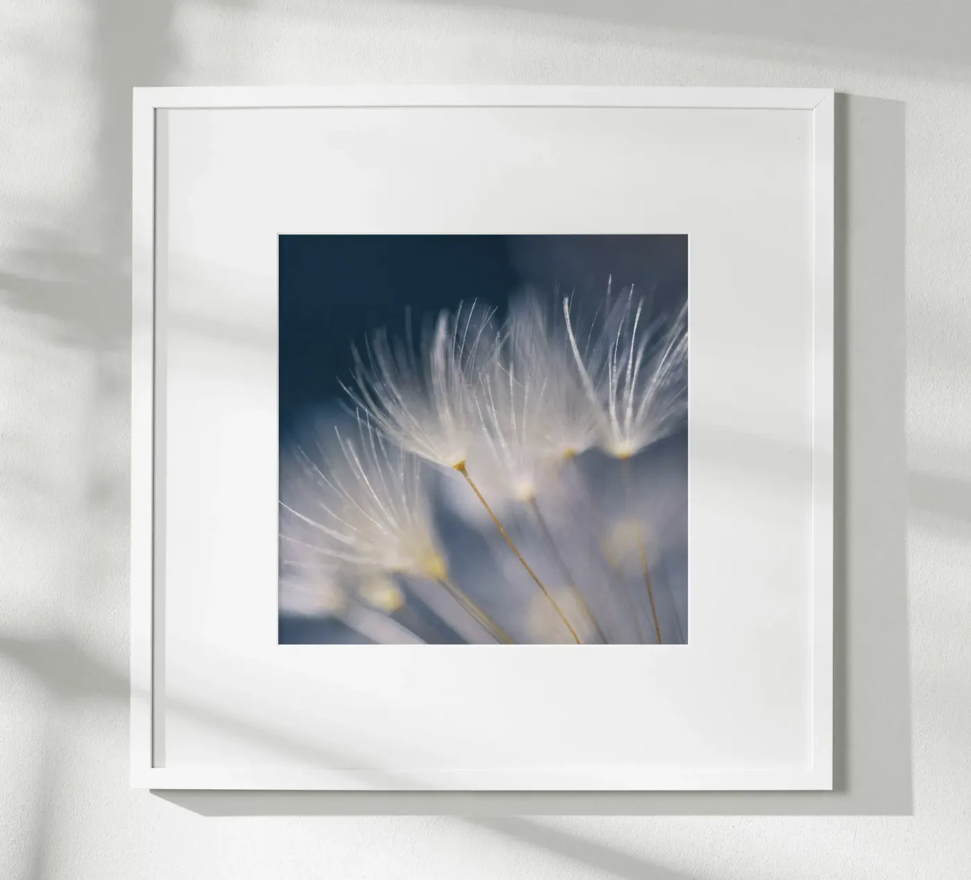 soft lights poster van Visuelle Poesie am Wegesrand